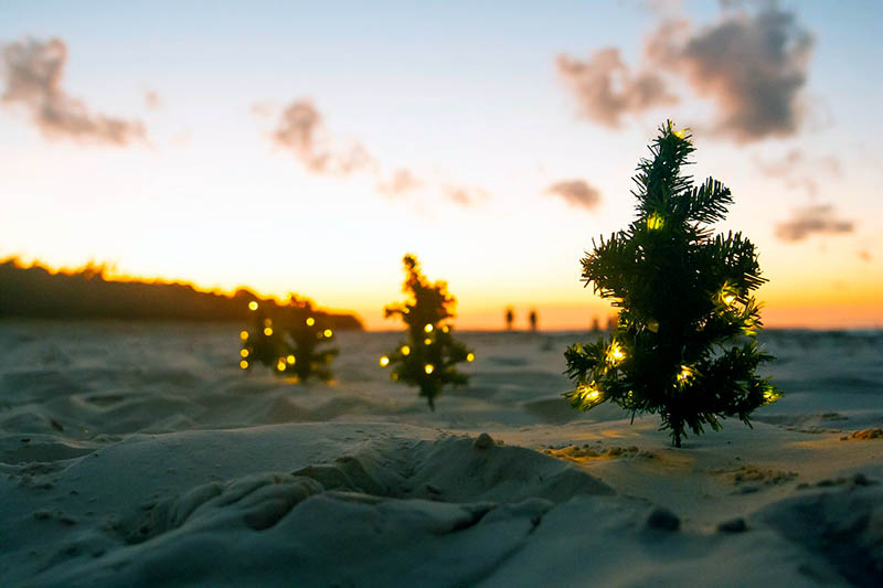 Christmas Beach Wedding Ideas