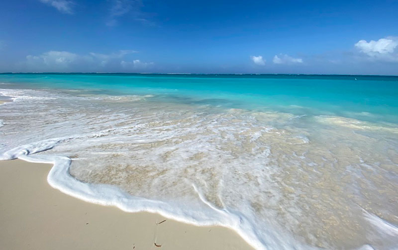 The Best Beaches in Turks and Caicos